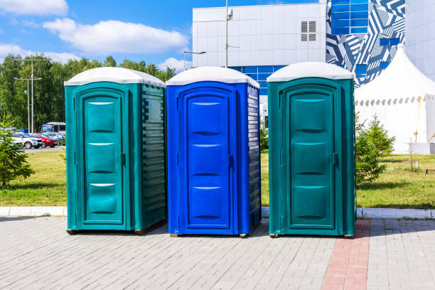 Best Portable Toilets with Baby Changing Stations  in Elizabeth, PA